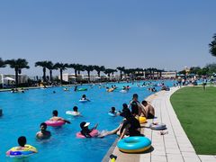 -秦皇岛乐岛海洋王国