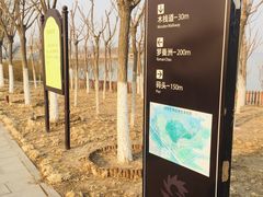 -天津东丽湖风景区