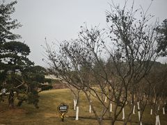 -铁山坪森林公园