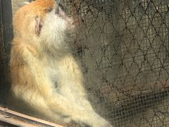 -昆明动物园