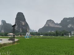 -明仕田园