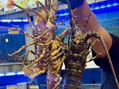 -东江海鲜大排档·潮汕菜·砂锅粥