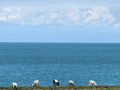 -青海湖国家重点风景名胜区