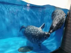 -成都浩海立方海洋公园