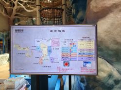 -探洞工场(重庆爱琴海旗舰店)
