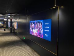 -奥斯卡升龙国际影城(RealD Cinema)