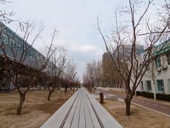 -五道口(地铁站)