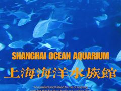-上海海洋水族馆
