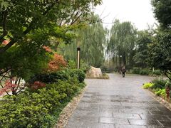 -习家池