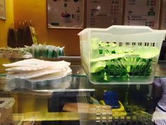 -三佰瑞冻酸奶(凯德MALL店)