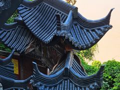 -龙泉洞(沙坪坝区)