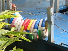 -晓港公园