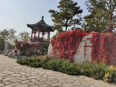 -大兴滨河森林公园