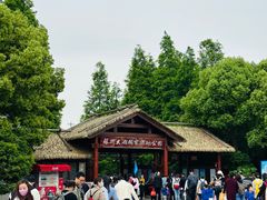 -苏州太湖国家湿地公园