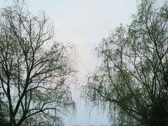 -橘子洲景区