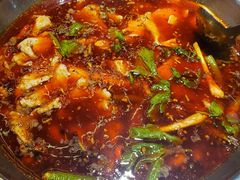 底料-蜀滋香鲜鱼美蛙火锅(339店)