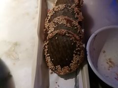 -绿茶餐厅(汇悦大融城店)