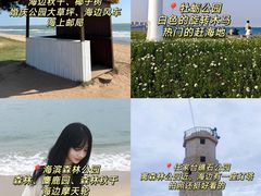-日照灯塔风景区