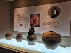 -衢州市博物馆