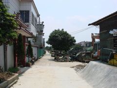 宁静的村落-海鸥岛