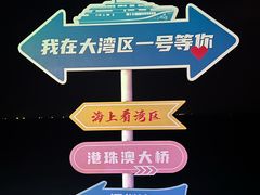 -招商蛇口邮轮母港(观光客运)