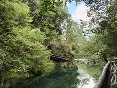 -石台牯牛降景区