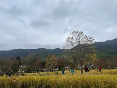 -塔川景区
