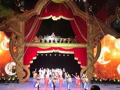 -珠海横琴长隆《卡卡虎奇遇记》