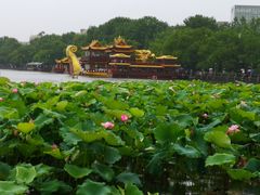 -西湖外事游船(湖滨二公园外事游船码头)