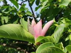 -国家植物园南园