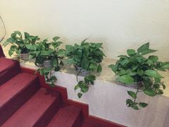 -楚云天足道会馆(紫来花园店)