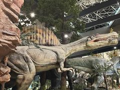 -湖南省地质博物馆