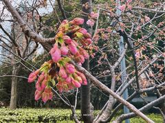 -龙华寺