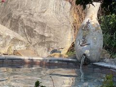 -金孔雀温泉旅游度假村
