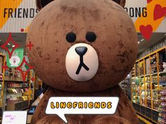 -line friends(明洞旗舰店)