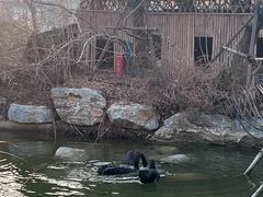 -南阳卧龙岗武侯祠
