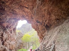 -大连天门山国家森林公园