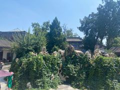 -荷花大观园