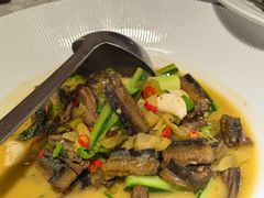 黄焖黄鳝-院里寻菜·精致庭院菜(观沙岭店)