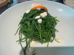凉拌鲜沙葱-蒙料·手把肉(望京店)