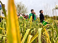 -Angel Garden天使花园幼儿园