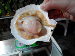 android_upload_pic-滨城串吧(三元桥店)