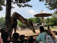 -大连森林动物园