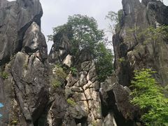 -玉石林风景区