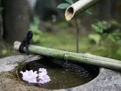-楠柏弯休闲山庄(梨花溪店)