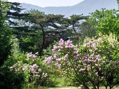 -国家植物园南园