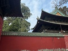 -报恩寺(平武县)