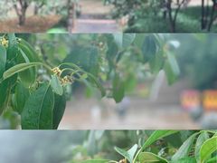 -杭州少年儿童公园