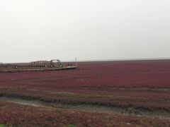 -红海滩国家风景廊道