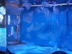 -厦门海底世界